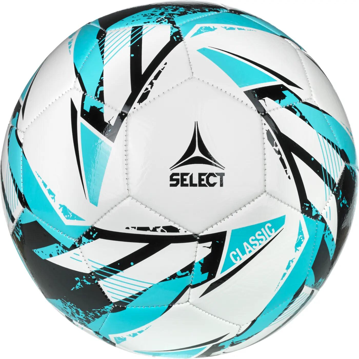 SELECT picture