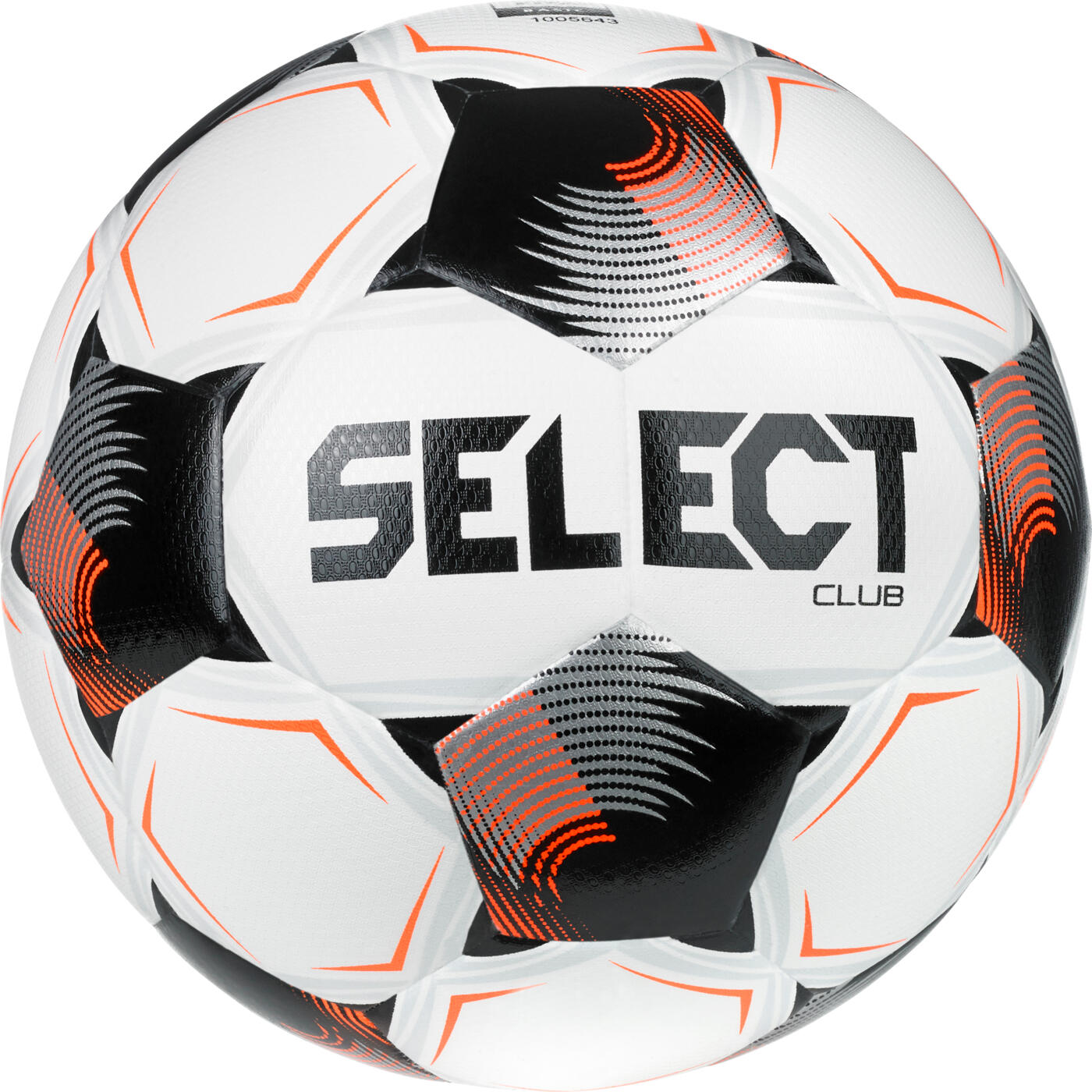 SELECT picture