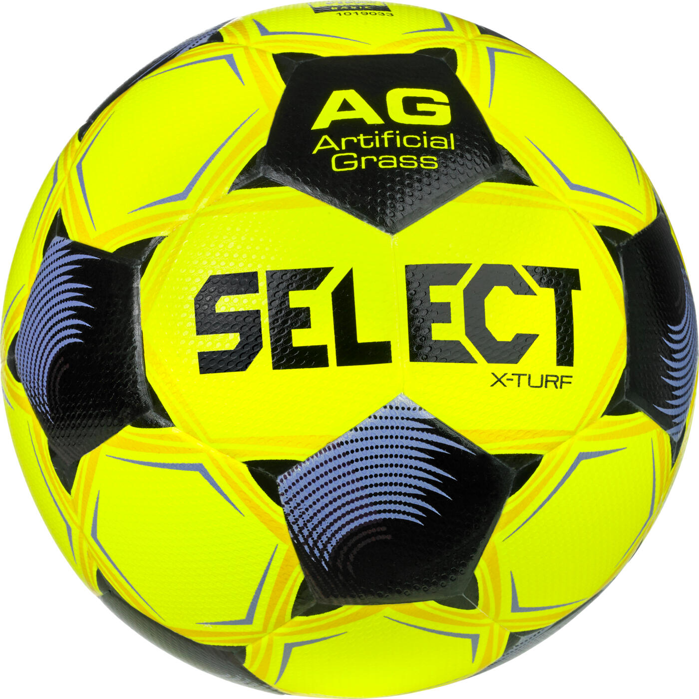 SELECT picture