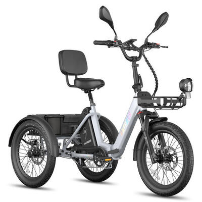 Triciclo elettrico FAFREES F20 Mate II batteria da 48V 21Ah