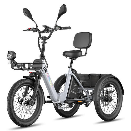 Triciclo elettrico cargo FAFREES F20 Mate II per anziani batteria da 48V 25Ah