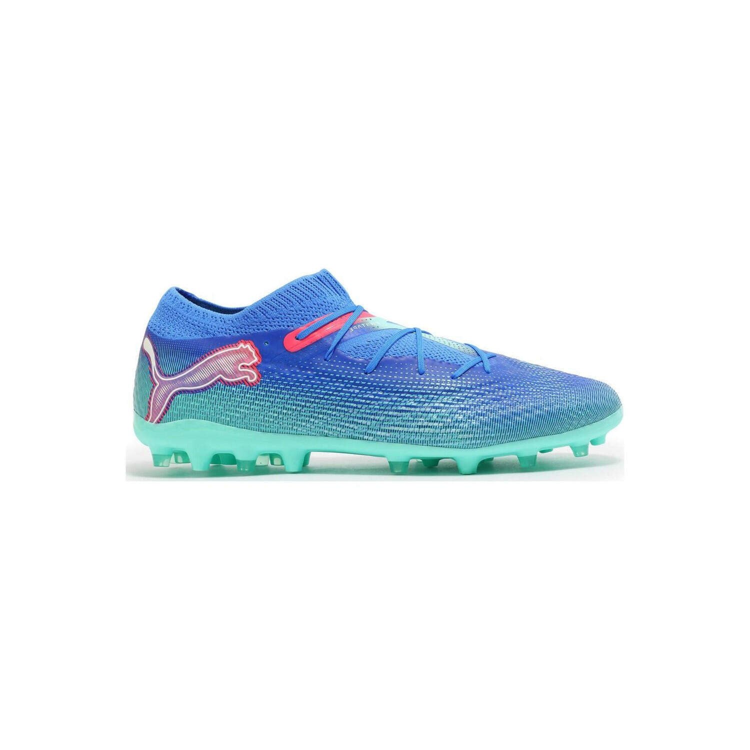 PUMA picture