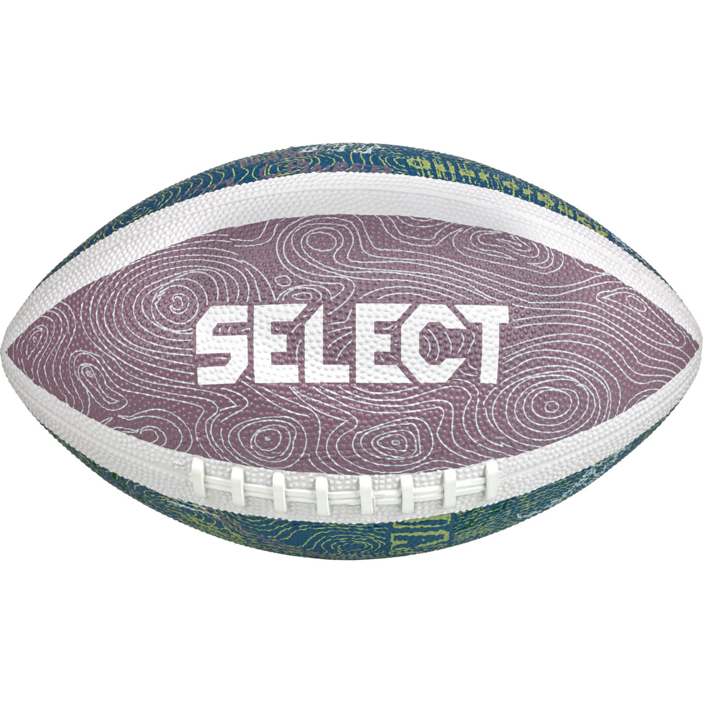 SELECT picture
