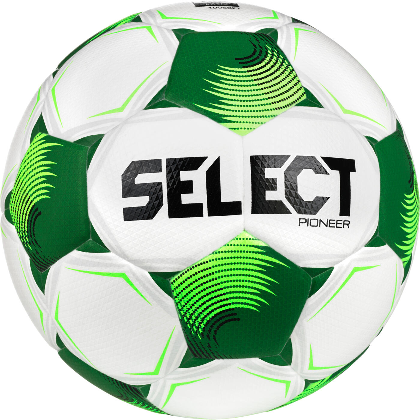 SELECT picture