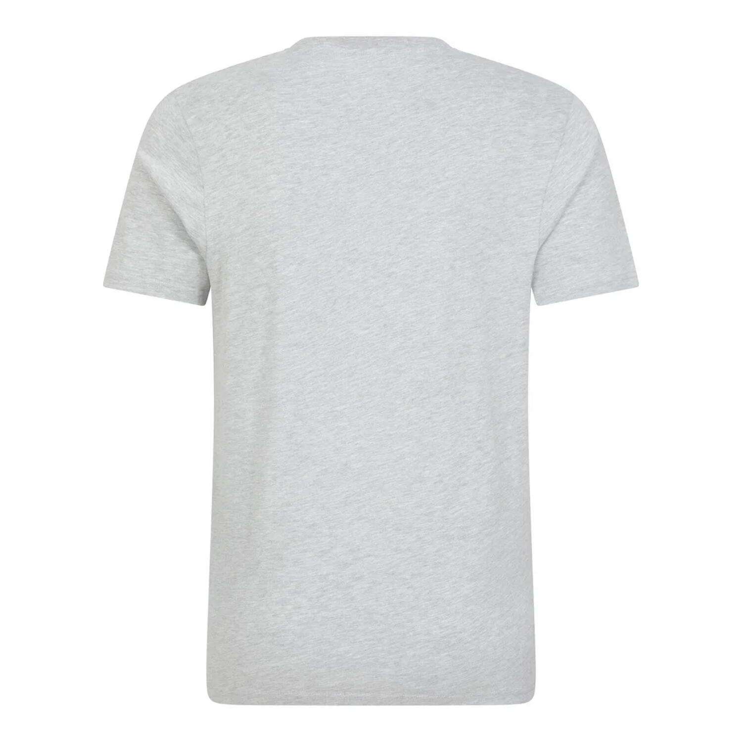 Mens Devon Flag ShortSleeved TShirt (Grey) 2/4