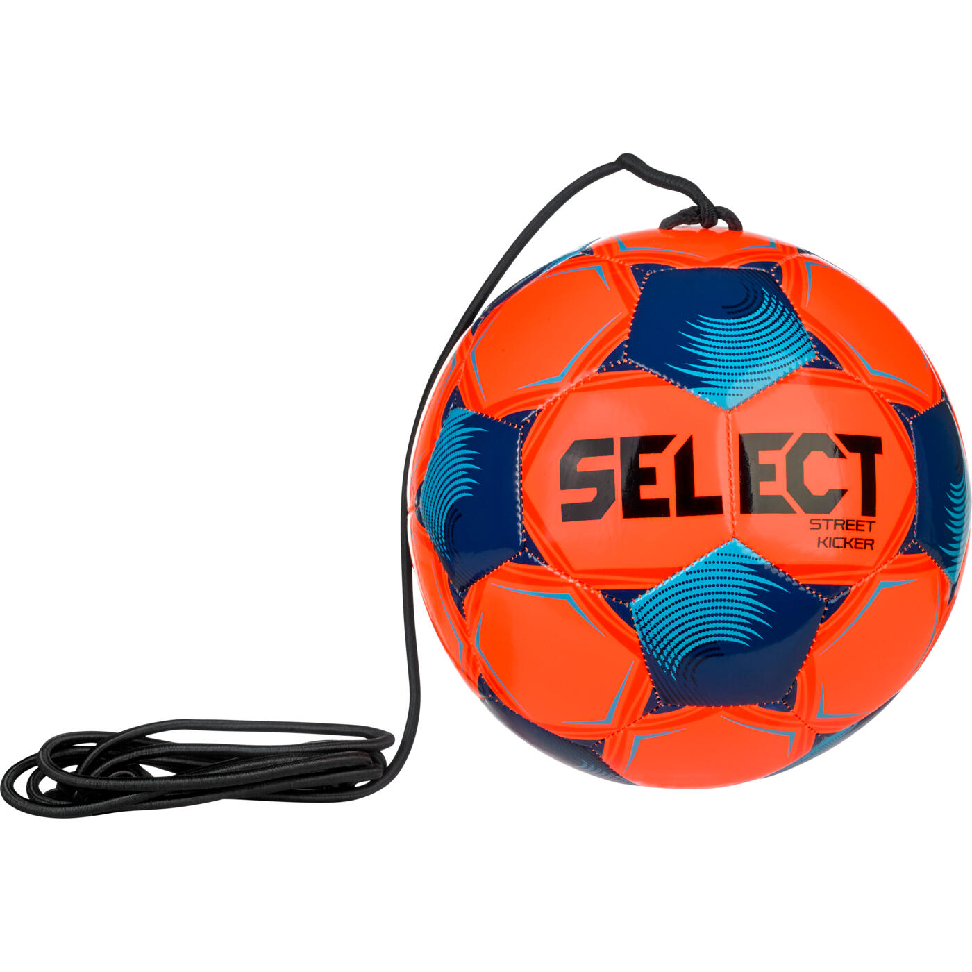 SELECT picture