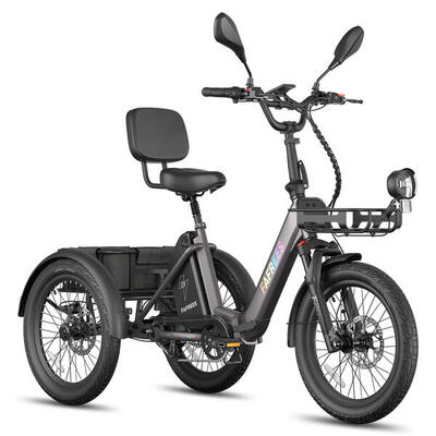 Triciclo elettrico cargo FAFREES F20 Mate II per anziani batteria da 48V 25Ah