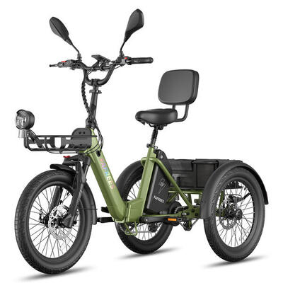 Triciclo elettrico cargo FAFREES F20 Mate II per anziani batteria da 48V 25Ah
