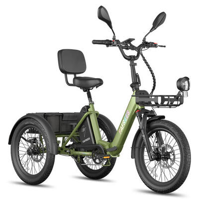Triciclo elettrico FAFREES F20 Mate II batteria da 48V 21Ah