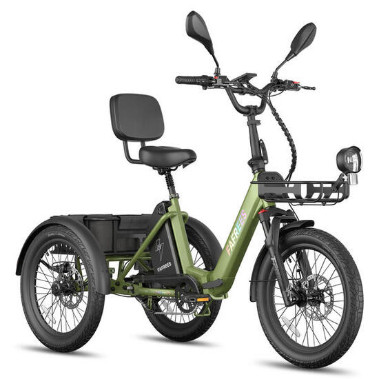 Triciclo elettrico FAFREES F20 Mate II batteria da 48V 21Ah
