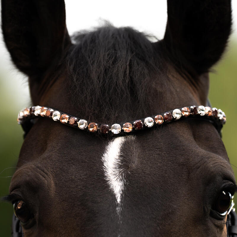 Frontale per cavallo Kavalkade Burgundy 4/5