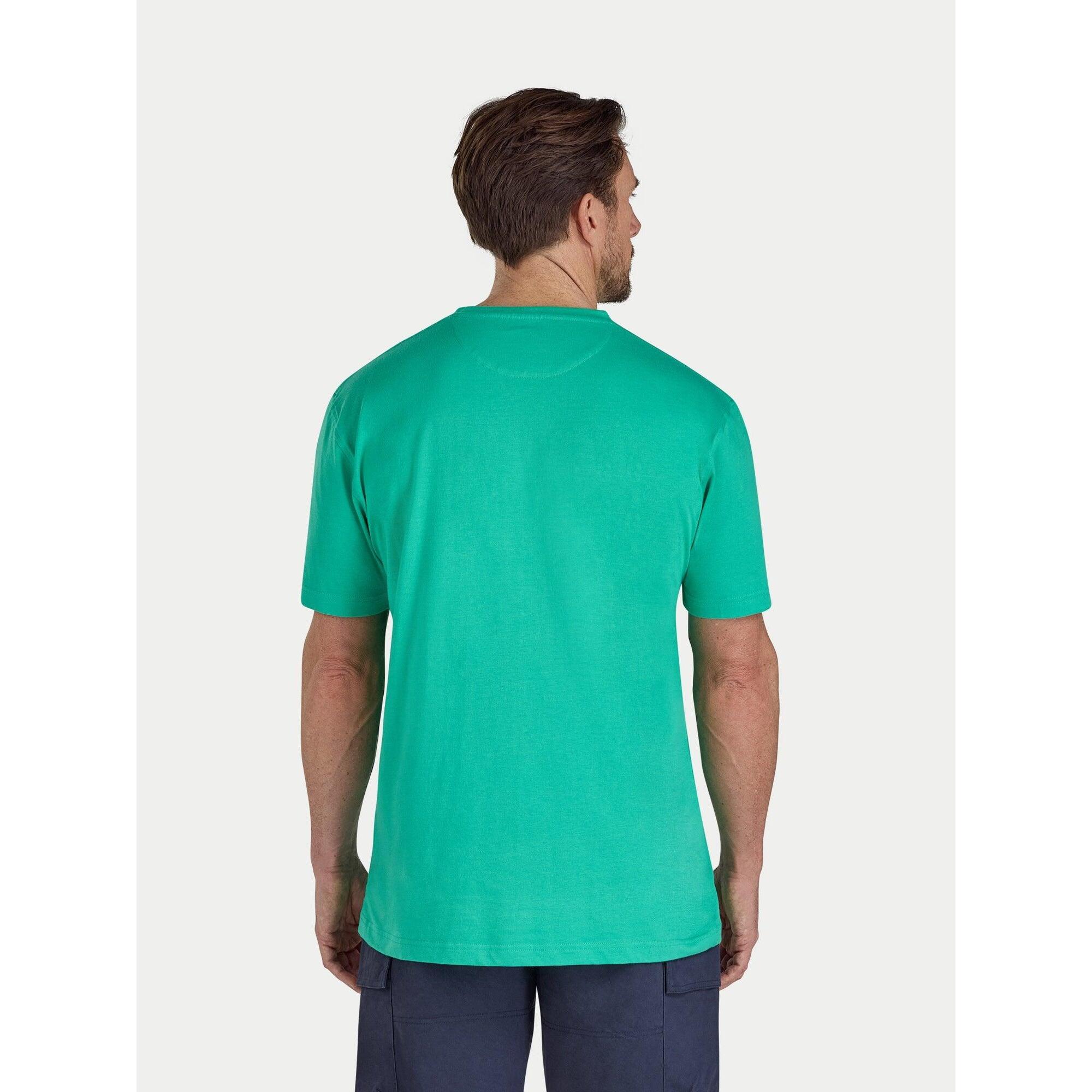 Tshirt CLASSIC Homme (Vert) 2/4