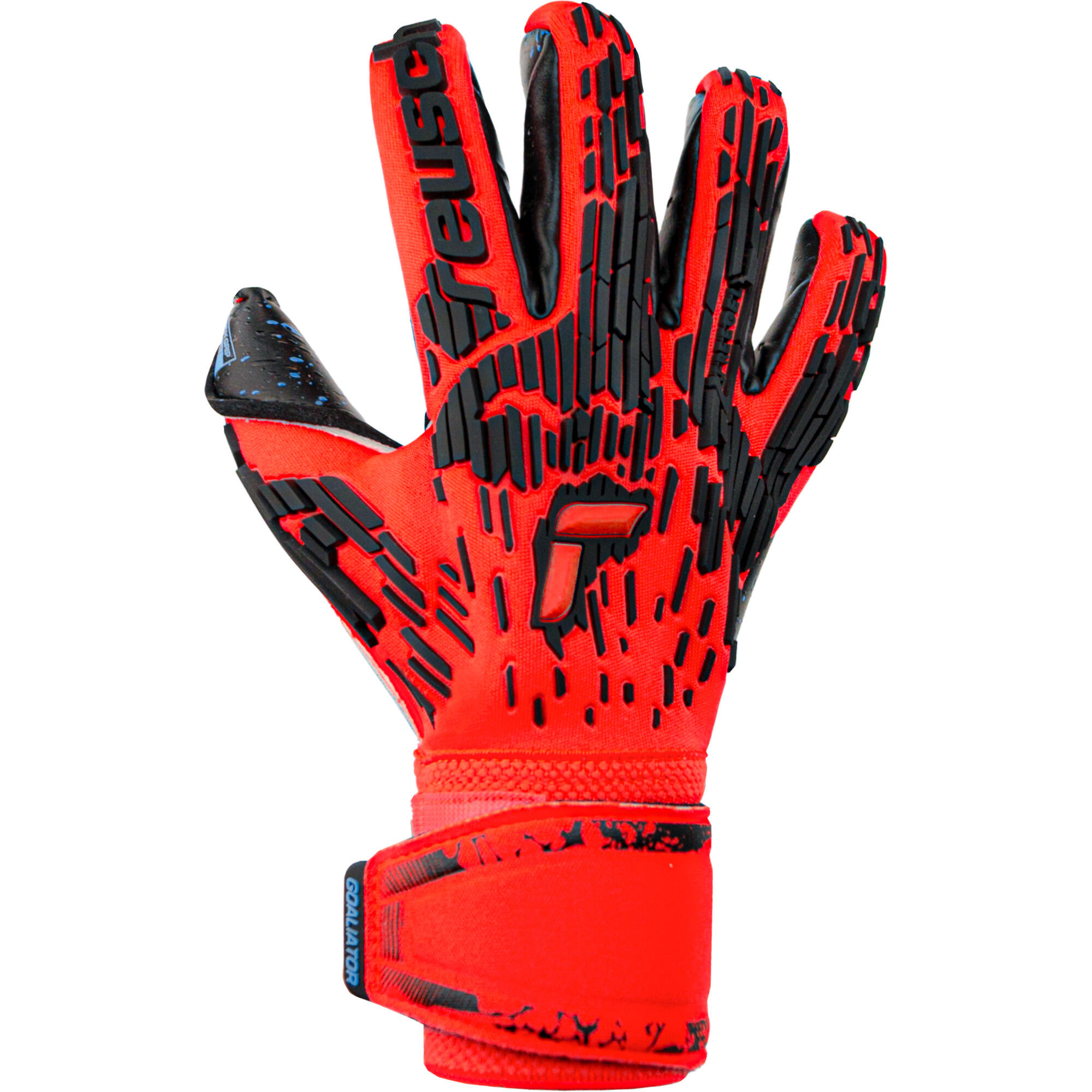 REUSCH picture