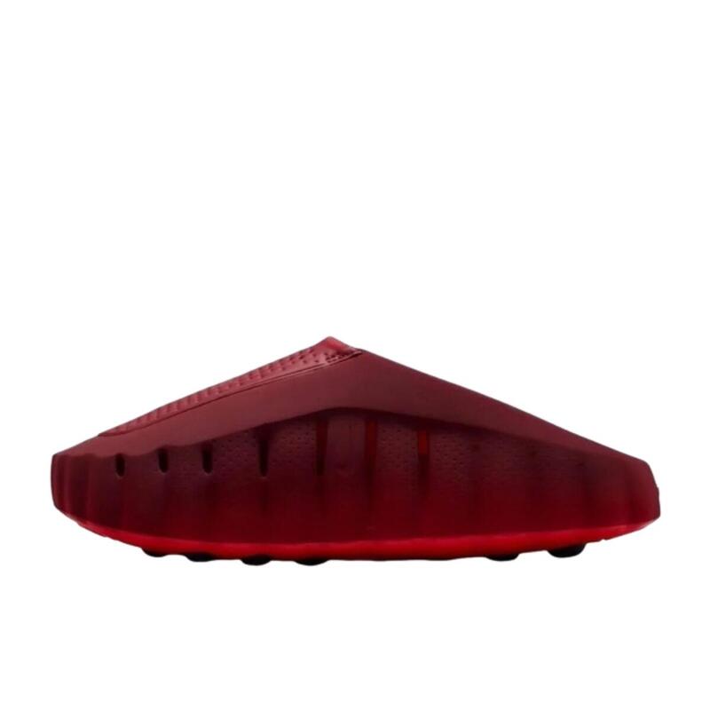 Mind 001 Slide Team Red University Red
