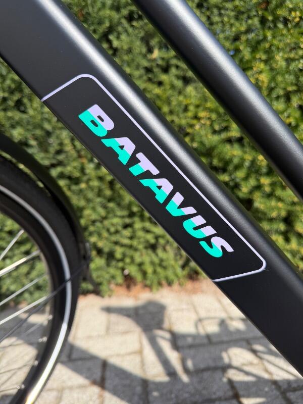 Entre Particuliers - Nouveau vélo Batavus pour femmes 2/7