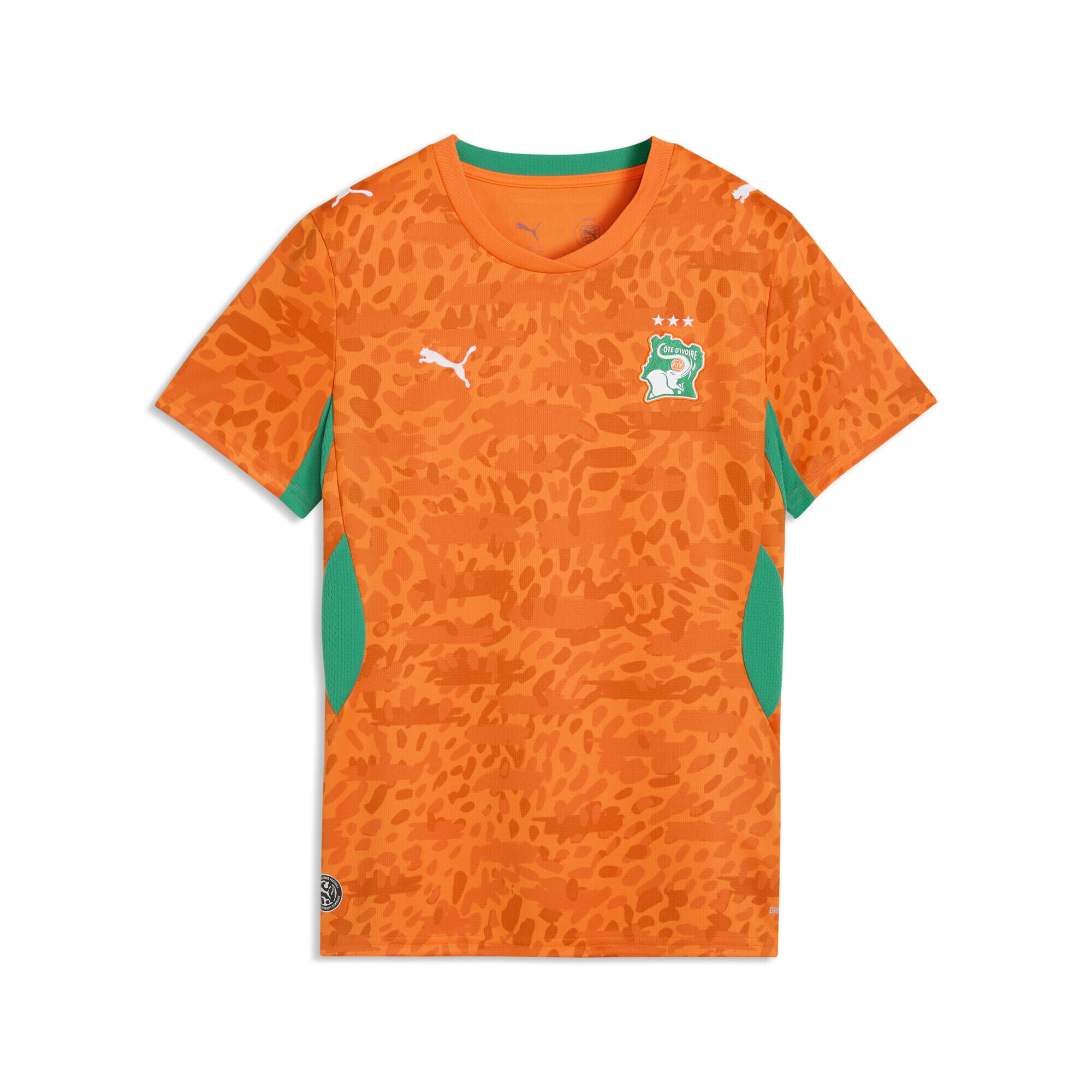 PUMA picture