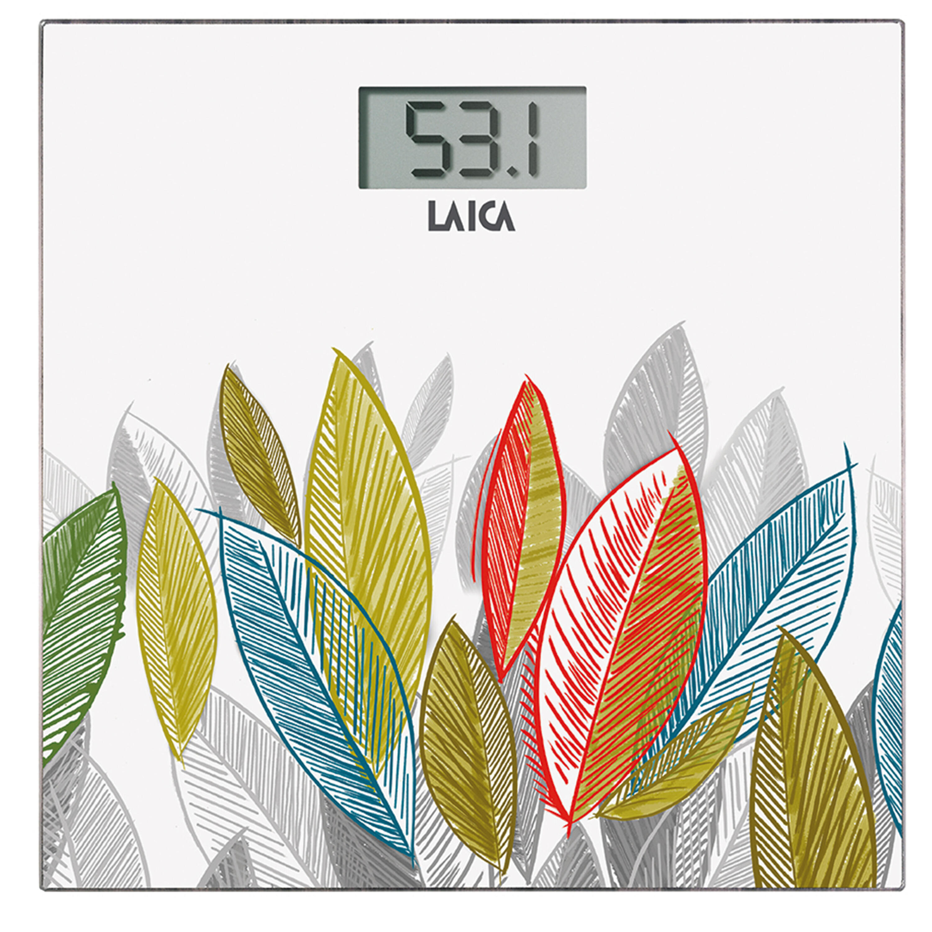LAICA picture