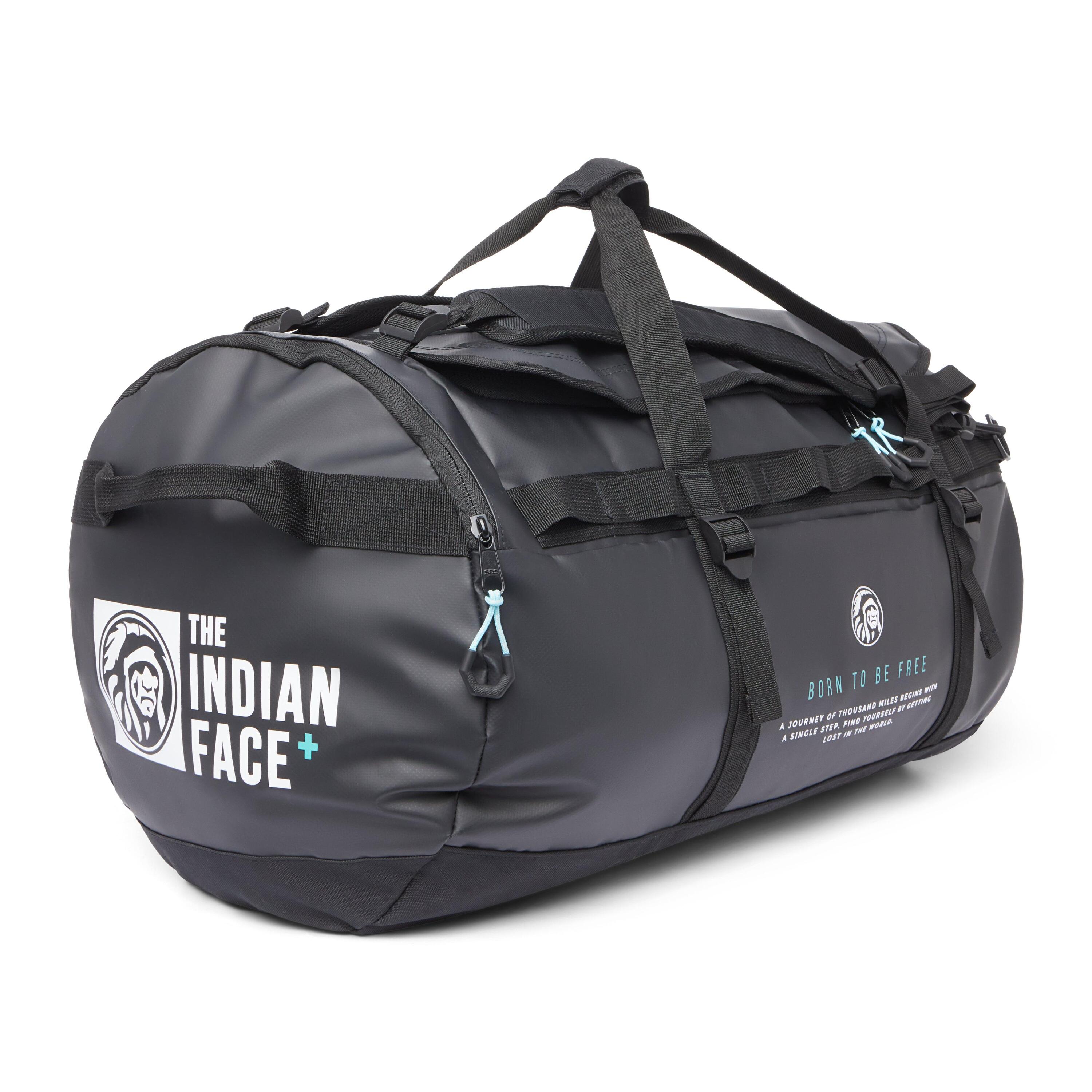 THE INDIAN FACE picture
