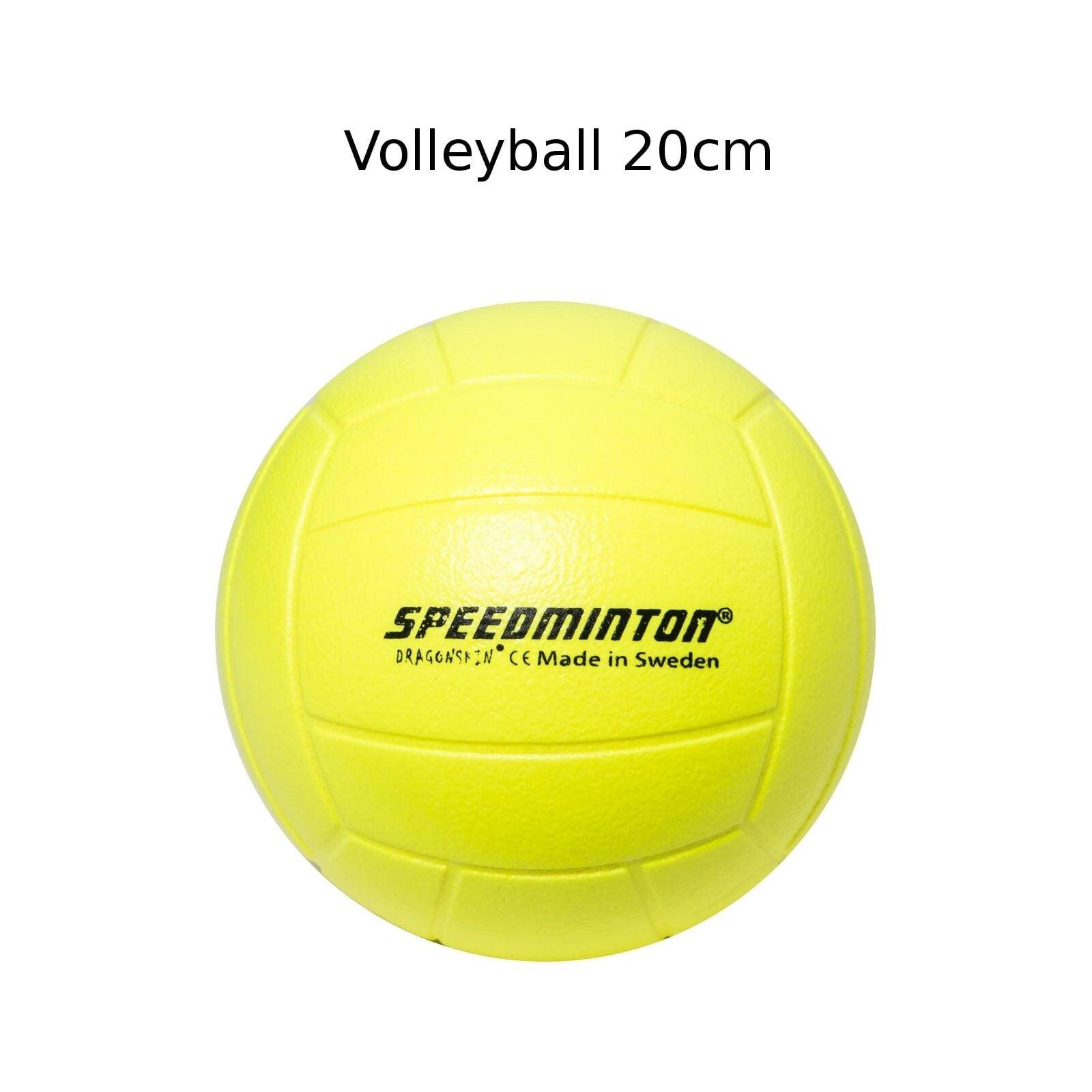 SPEEDMINTON picture