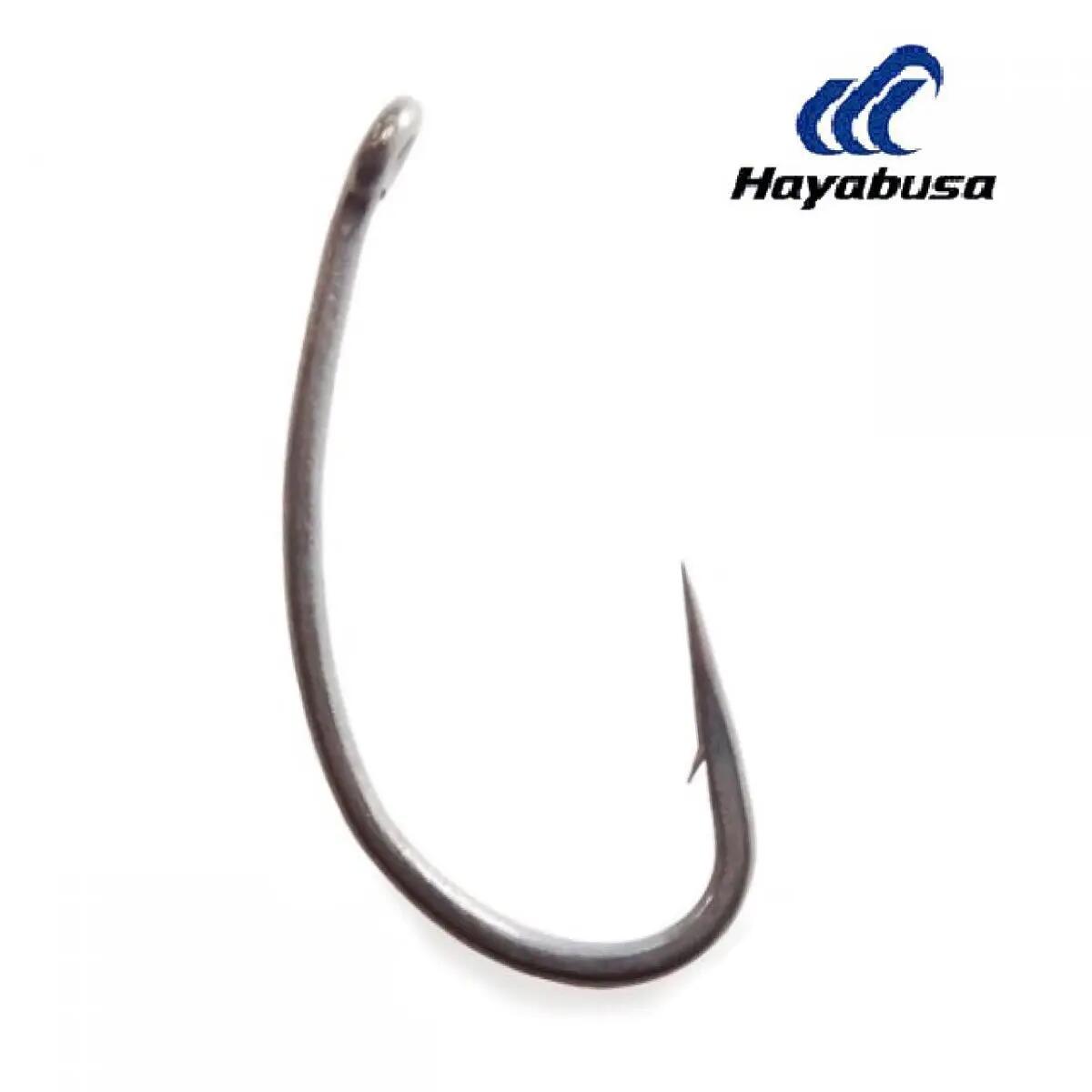 HAYABUSA P-1 NRB HOROG 06 10DB 2/2