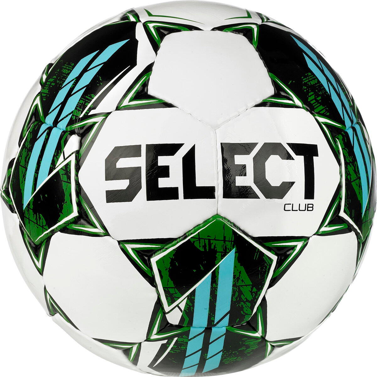 SELECT picture