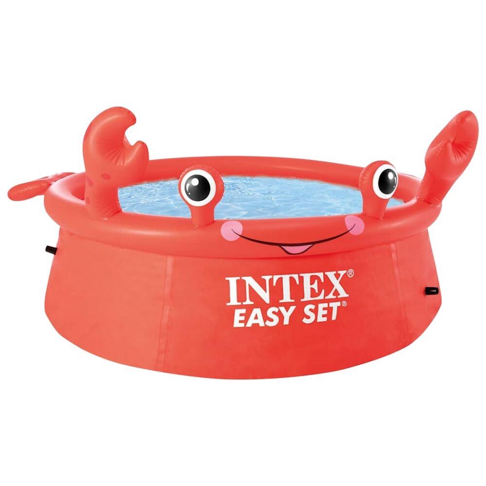 INTEX picture