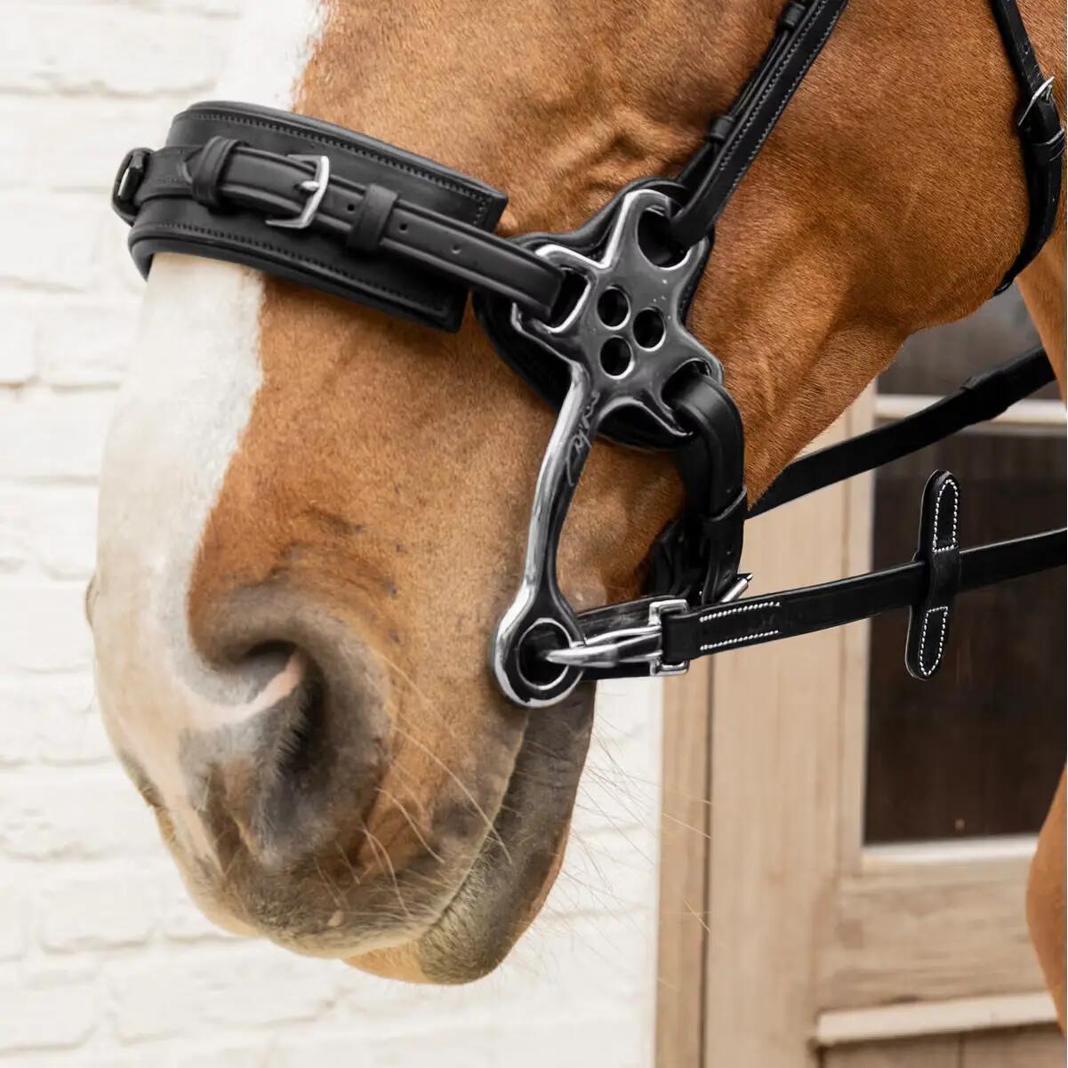 Riendas de goma para caballos Dy'on Working Collection 5/8" 3/5