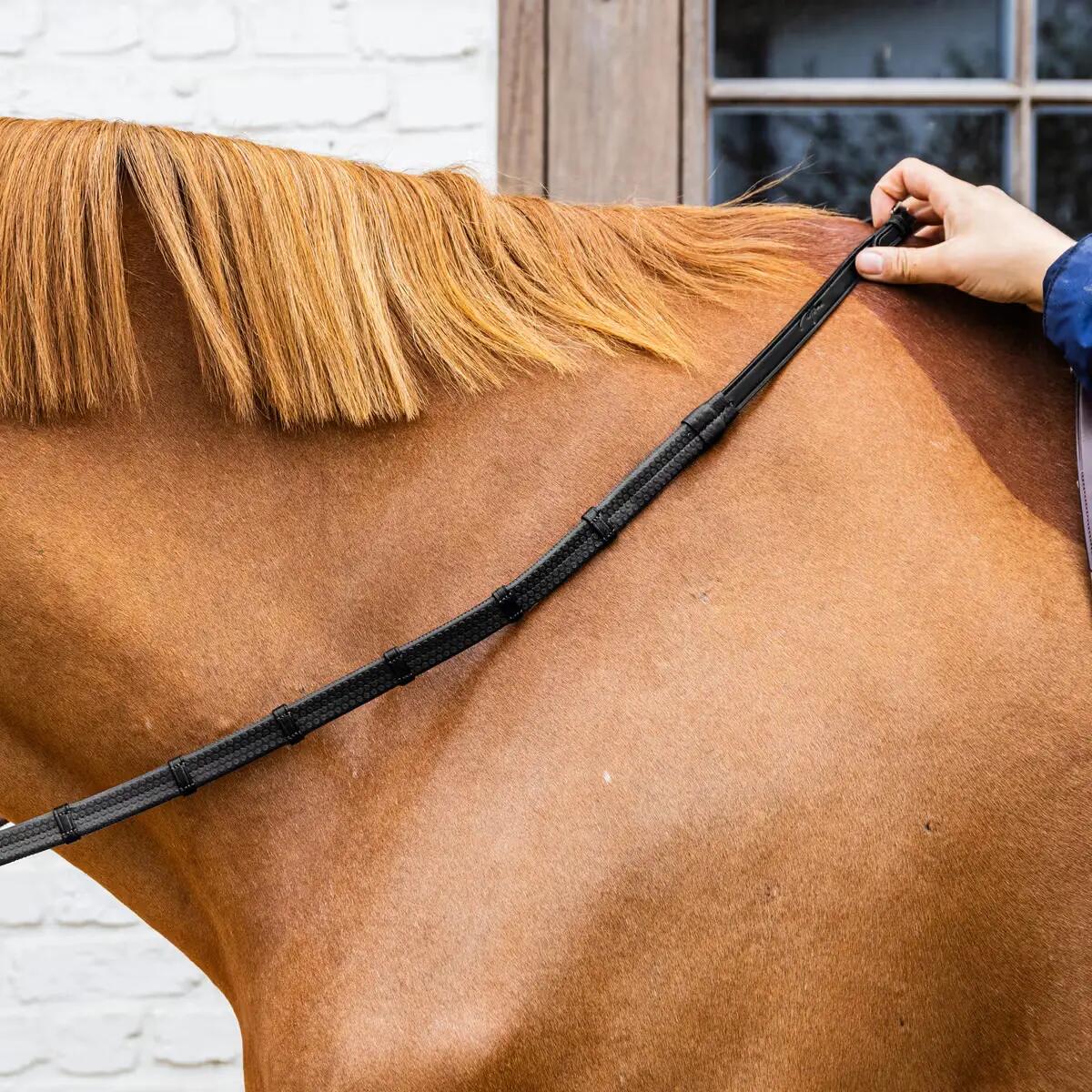 Riendas de goma para caballos Dy'on Working Collection 5/8" 4/5