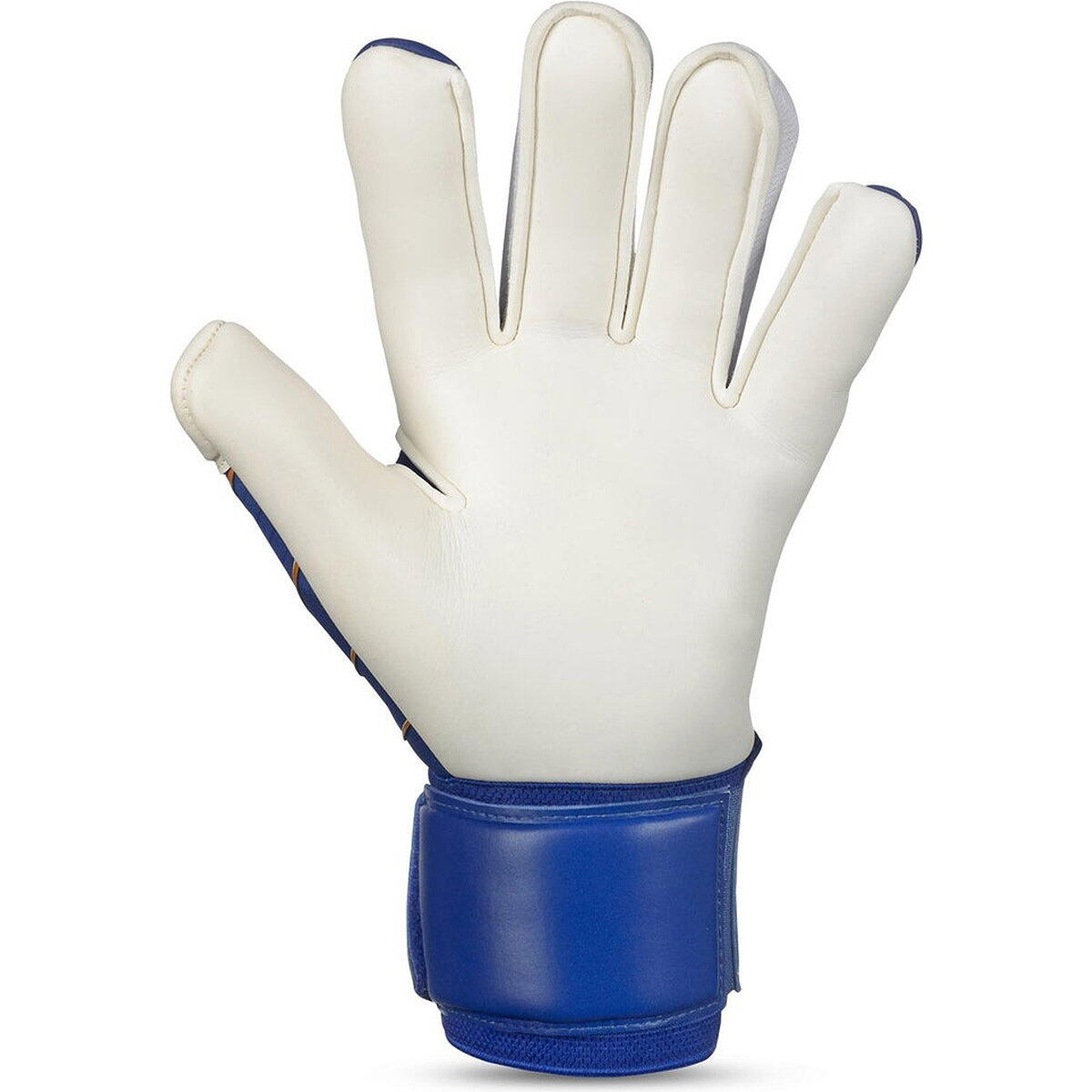 Select 55 Extra Force V24 Gants de Gardien - Bleu / Blanc Taille 9 5/5