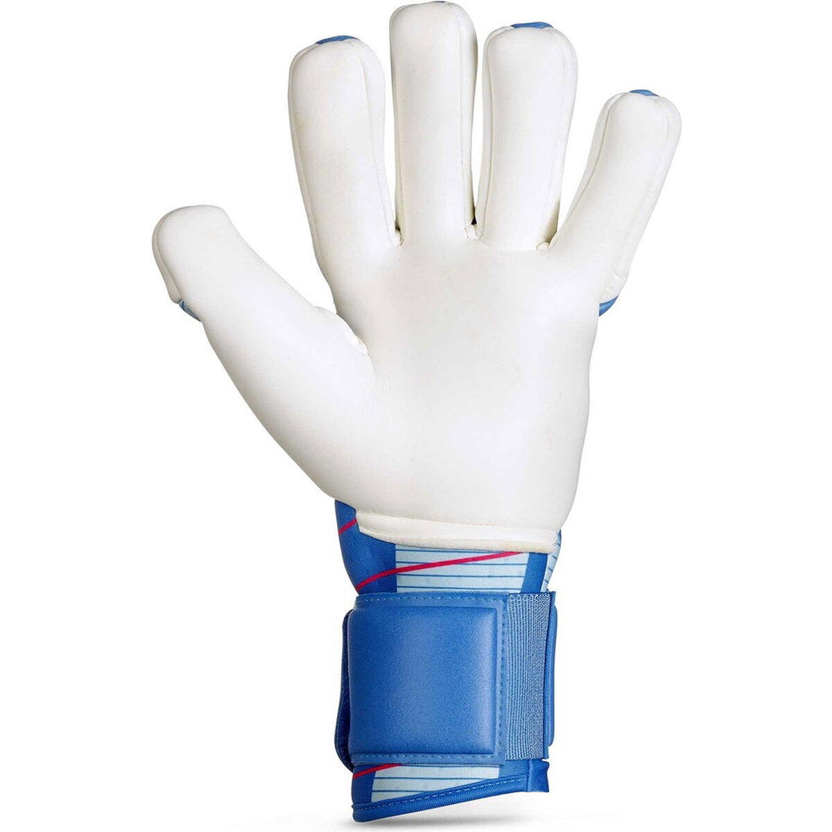 Select 88 Pro Grip V25 Torwarthandschuhe - Blau / Weiß Größe 9 3/5