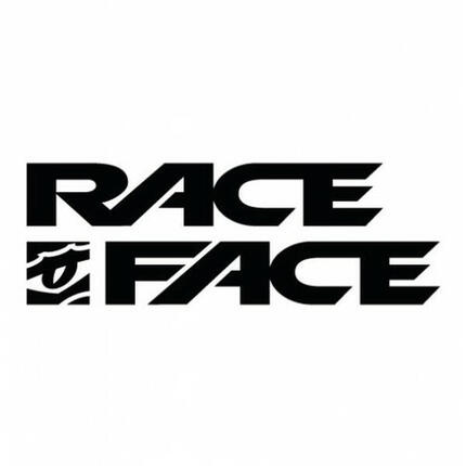 Manivelles Race Face turbine - 175 (sans boitier)
