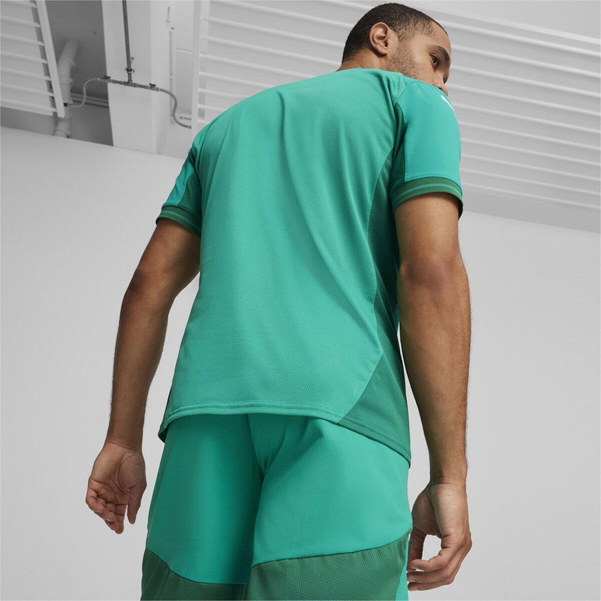 Puma Herren Trikot teamFINAL Jersey 705737 5/5
