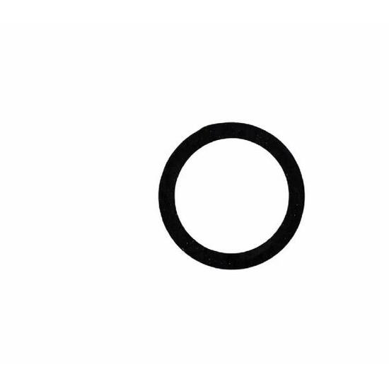 O-Ringe Elvedes Hayes Prime, HFX-9, HFX-MAG (x10)