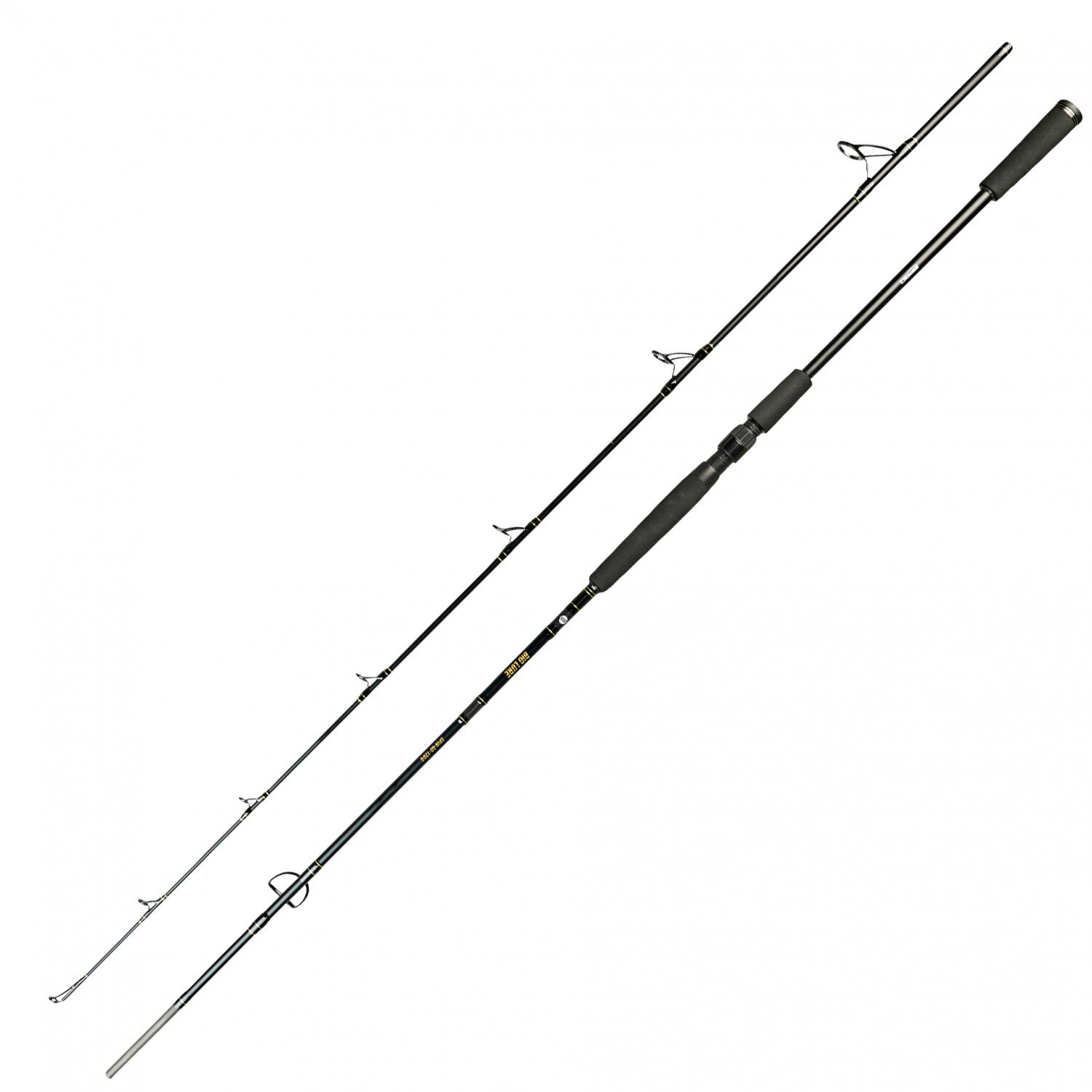 Spinnrute Spro 40-120 g 5/5