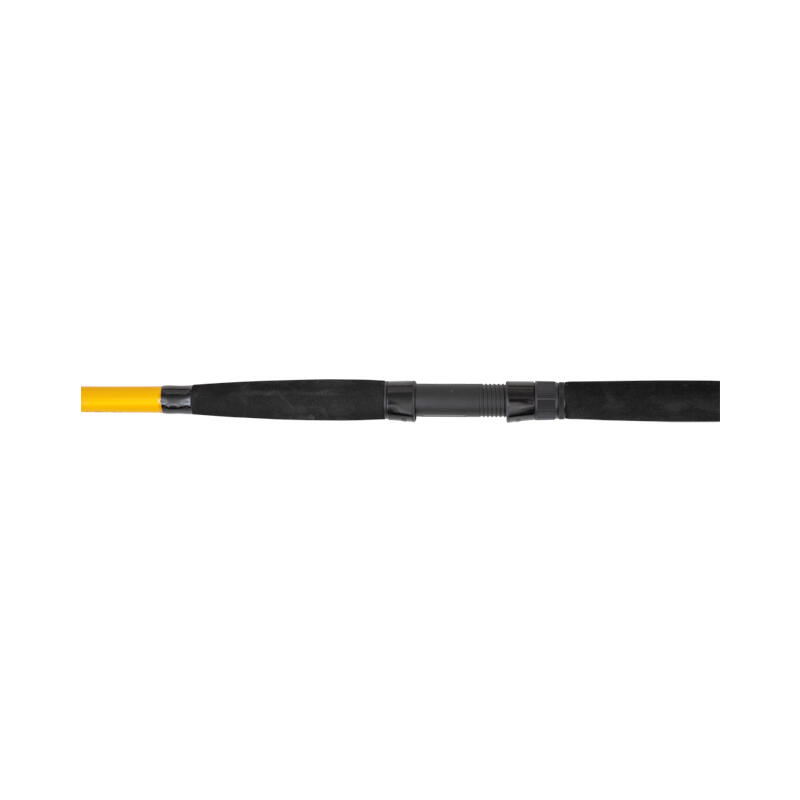 Canne Black Cat Passion G2 Allround C.W 4/4