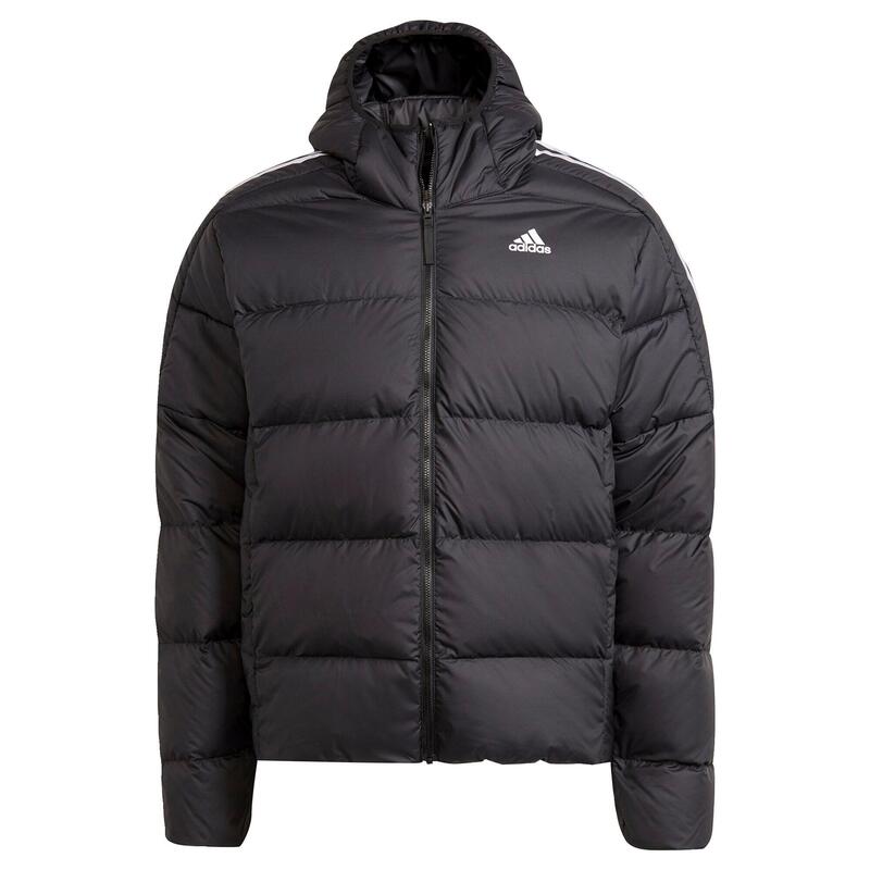 Veste Essentials Midweight Down Hooded