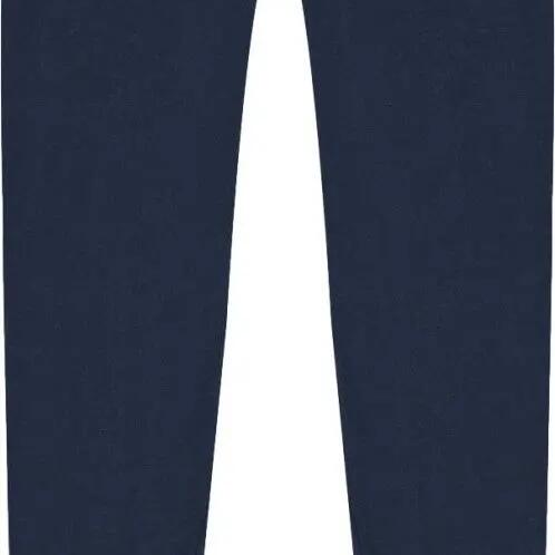 Women's Champion Legacy C-Tech Legging Blue