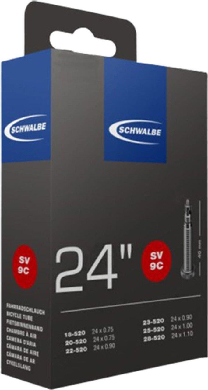 SCHWALBE picture