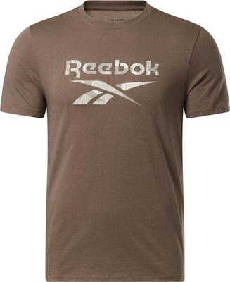 Reebok identity motion bruin t-shirt