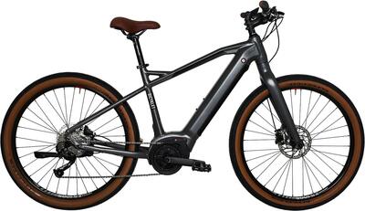 Bicyklet gabriel elektrische fitnessfiets shimano altus 9s 500 wh 27.5'' titaniu