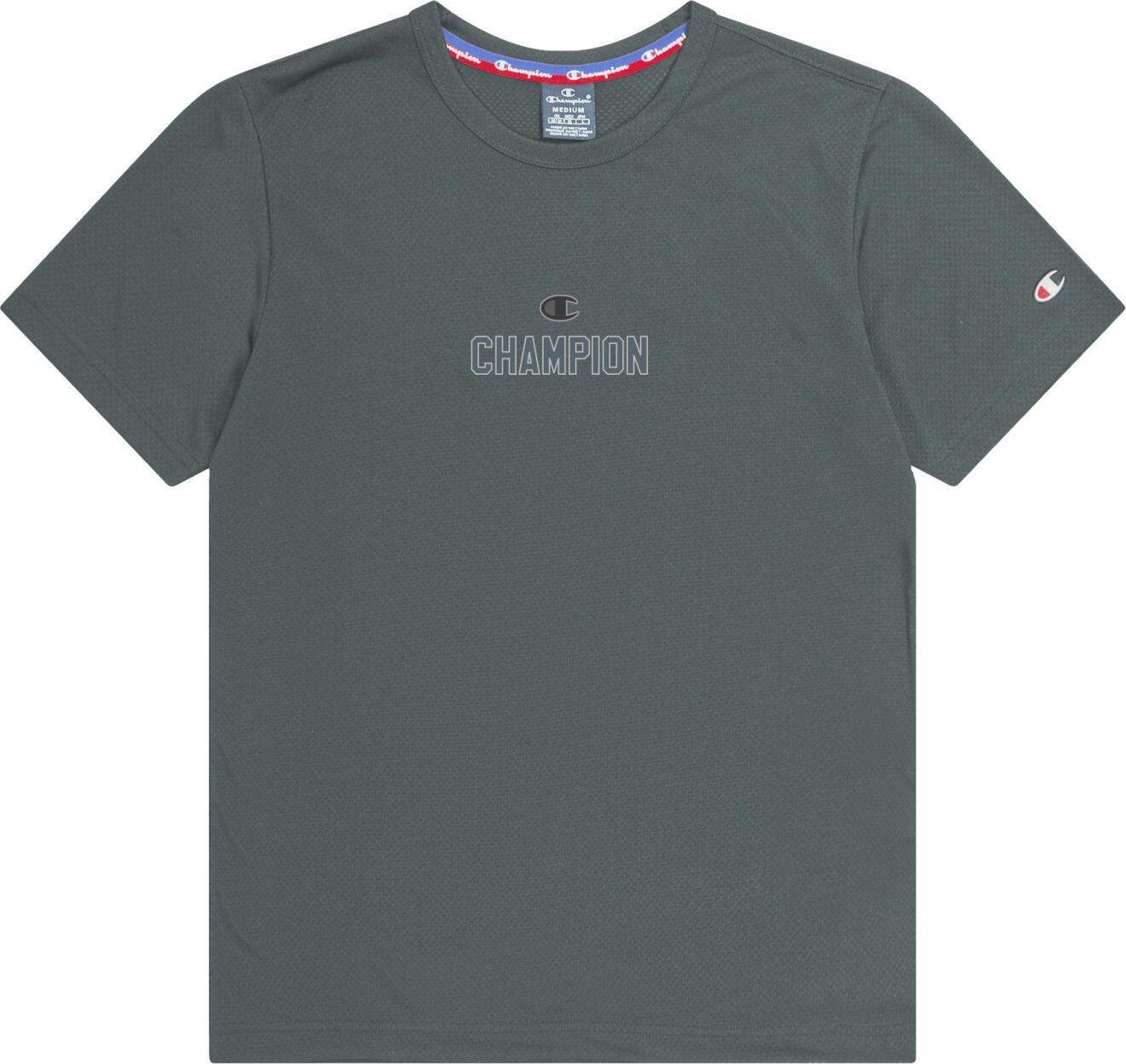T-Shirt Champion Legacy Gris 1/1