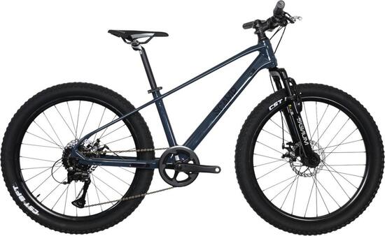 Kinder Mountainbike Halbsteif Scamp HighFox Shimano Tourney 8V 24'' Blau