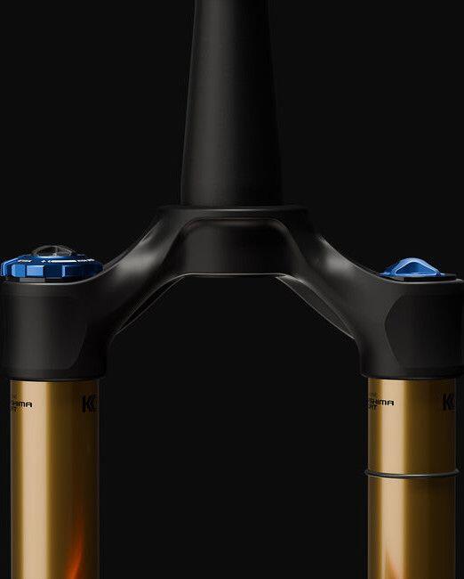 Fox Racing Shox 34 Float SL Factory 29'' Fork | Grip X | Boost 15x110mm Kabolt S 4/4