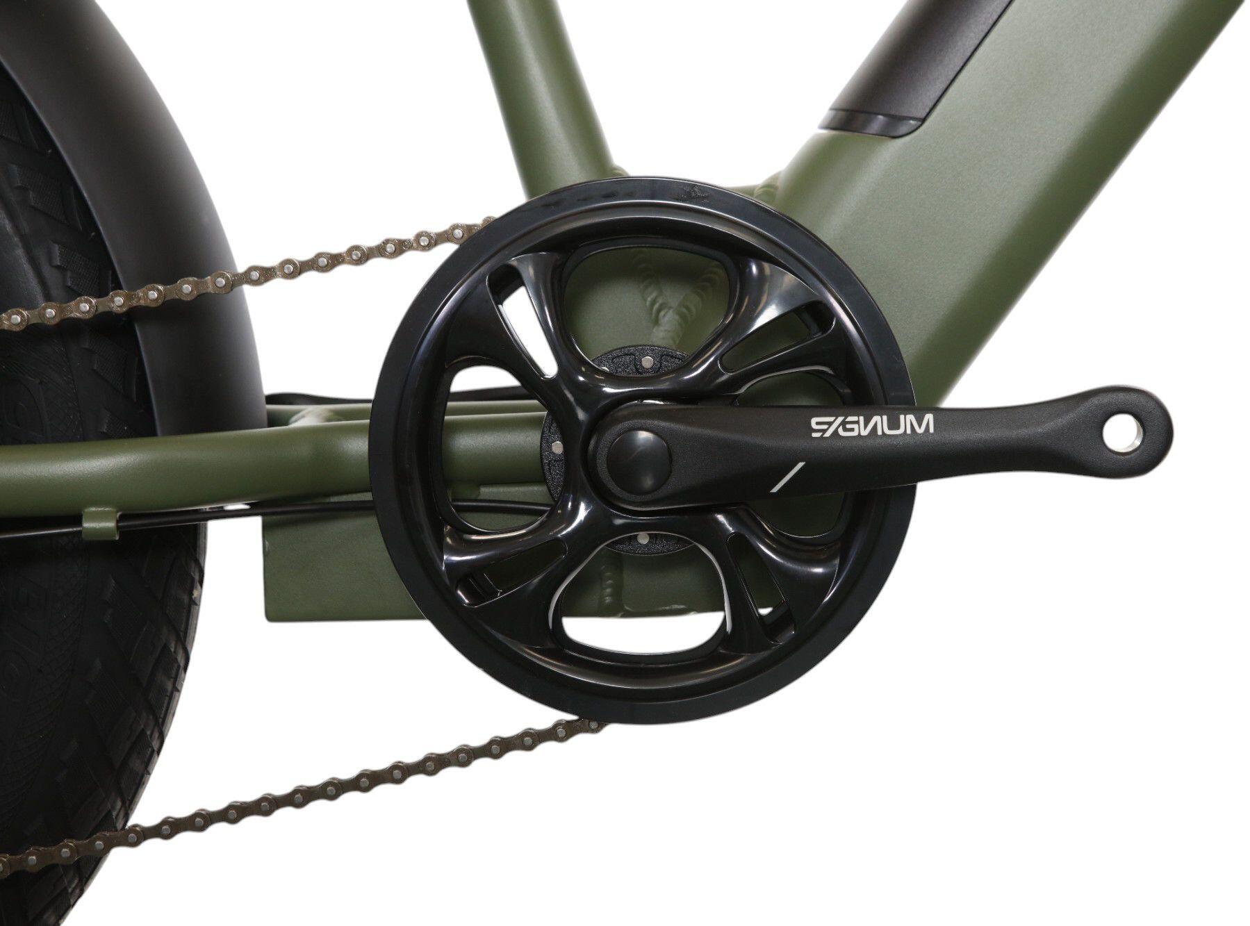 Vélo Cargo Shortail Électrique Bicyklet Shimano Altus 7V 670 Wh 20'' Vert Kaki 4/7