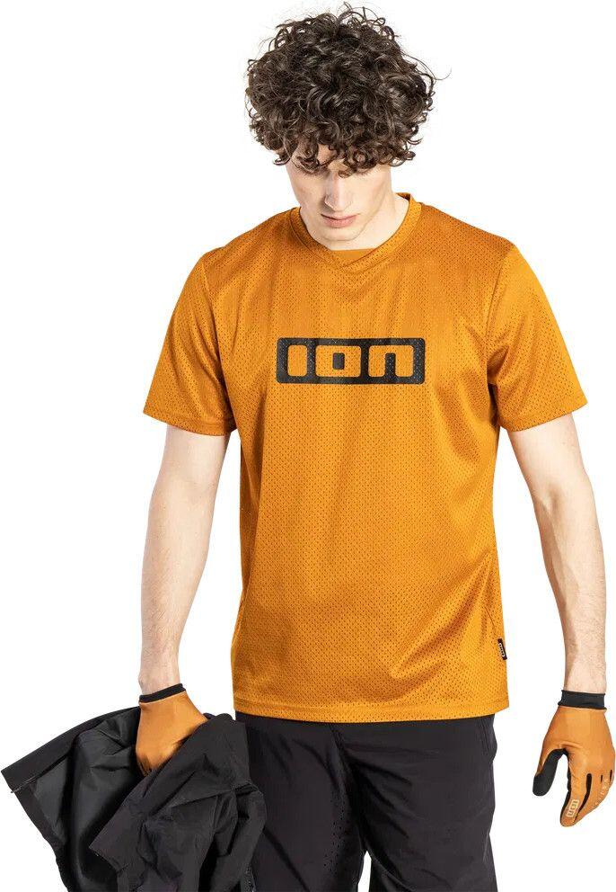 ION picture