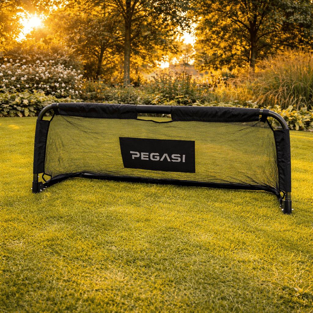 Voetbaldoel 150x60 cm Pegasi 2/5
