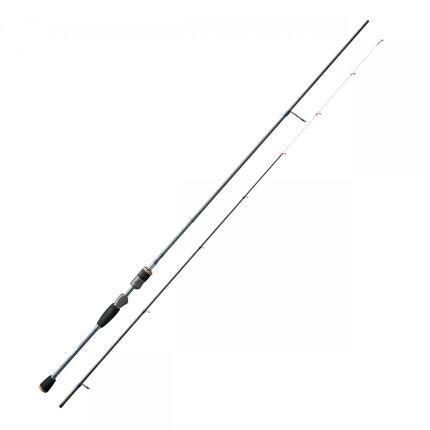 Wędka Daiwa Black Widow Extension Carp 3,00 m / 3 funty, 2 sztuki