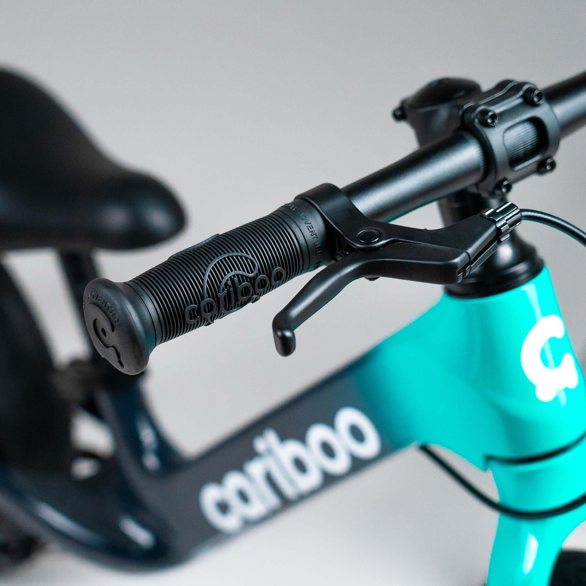 Rowerek biegowy Cariboo Magnesium Max 6/8