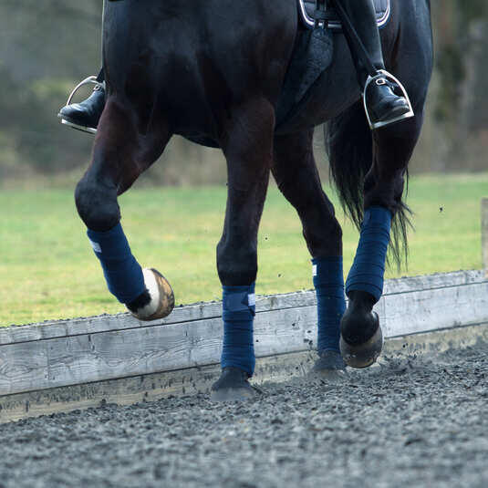 Bandes de repos pour cheval B Vertigo France 3/3