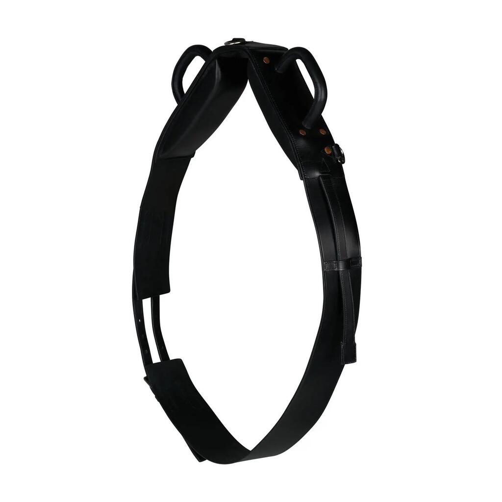 Lunge line for longeing horse with vaulting surcingle Horze